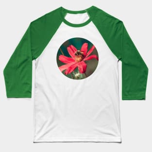 Bee Collecting Pollen Photograph Baseball T-Shirt